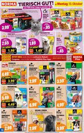 Norma Prospekt woche 42 Seite 10