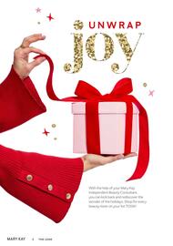Mary Kay catalogue Page 2