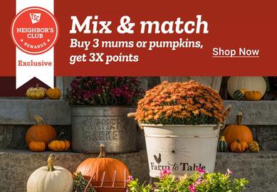 Tractor Supply Company weekly ad week 40 Page 2