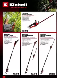 Volantino Einhell Pagina 12