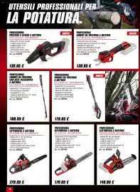Volantino Einhell Pagina 14
