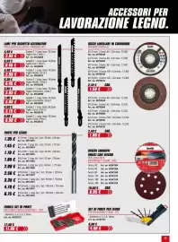 Volantino Einhell Pagina 17