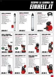 Volantino Einhell Pagina 31