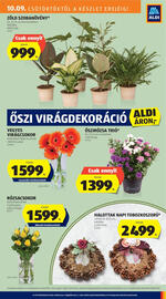 ALDI akciós újság hét 41 Oldal 23