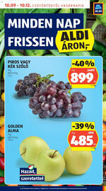 ALDI akciós újság hét 41 Oldal 7