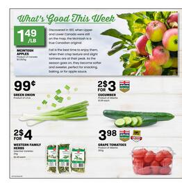 Freson Bros flyer Page 8