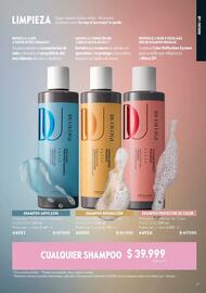 Catálogo Oriflame Página 17