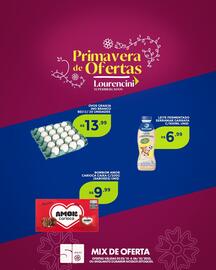 Catálogo Lourencini Supermercados Página 5