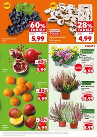 Kaufland gazetka Strona 13