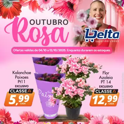 Catálogo Delta Supermercados (válido até 12-10)