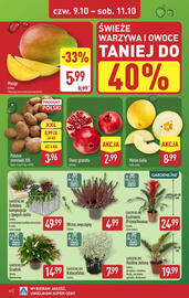 ALDI gazetka tydzień 41 Strona 32