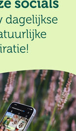 Holland & Barrett folder Pagina 29