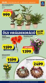 ALDI akciós újság Oldal 3