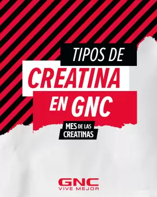 Catálogo GNC (válido hasta 11-10)