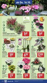 Aldi Nord Prospekt woche 42 Seite 30