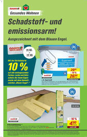 Toom Baumarkt Prospekt woche 41 Seite 6