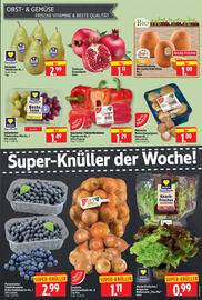 Edeka Herkules Prospekt woche 41 Seite 5