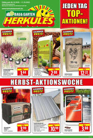 Edeka Herkules Prospekt woche 41 Seite 1