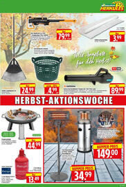 Edeka Herkules Prospekt woche 41 Seite 13