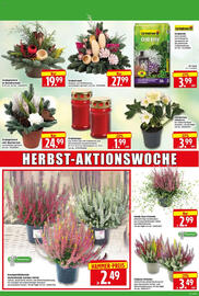 Edeka Herkules Prospekt woche 41 Seite 14
