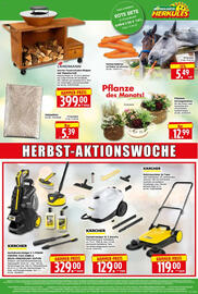 Edeka Herkules Prospekt woche 41 Seite 16