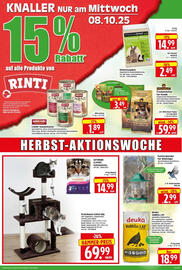 Edeka Herkules Prospekt woche 41 Seite 6