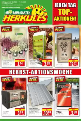 Edeka Herkules Prospekt (gültig bis 11-10)