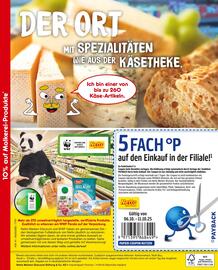 Netto Marken-Discount Prospekt woche 41 Seite 2