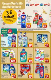 REWE Center Prospekt woche 41 Seite 30