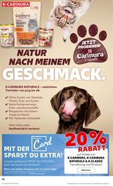 Kaufland Prospekt woche 41 Seite 38