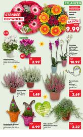 Kaufland Prospekt woche 41 Seite 5