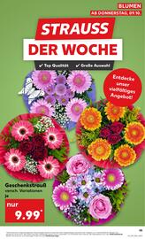 Kaufland Prospekt woche 41 Seite 55