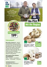 Scheck-in-Center Prospekt woche 41 Seite 38