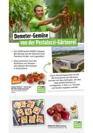 Scheck-in-Center Prospekt woche 41 Seite 39