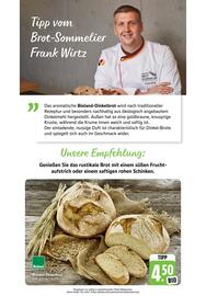 Scheck-in-Center Prospekt woche 41 Seite 41