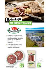 Scheck-in-Center Prospekt woche 41 Seite 51