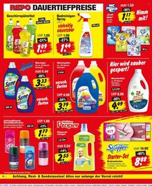 Repo Markt Prospekt woche 41 Seite 10