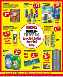 Repo Markt Prospekt woche 41 Seite 14