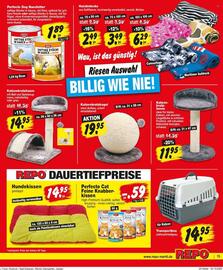 Repo Markt Prospekt woche 41 Seite 15