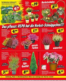 Repo Markt Prospekt woche 41 Seite 6
