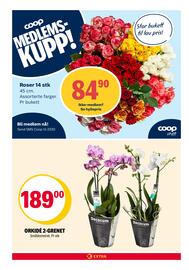 Coop Extra kundeavis uke 41 Side 20