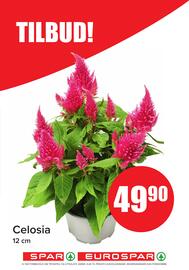 Spar uke 41 Side 16
