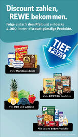REWE Prospekt woche 41 Seite 23