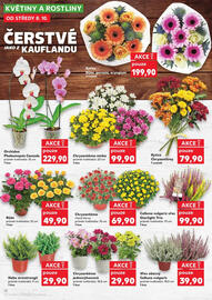 Kaufland leták týden 41 Strana 12