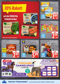 Edeka Prospekt Seite 12