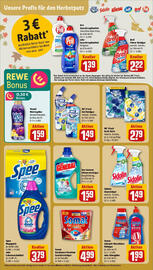 REWE Prospekt woche 41 Seite 12