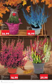 Catalog Kaufland săptămâna 41 Pagină 18