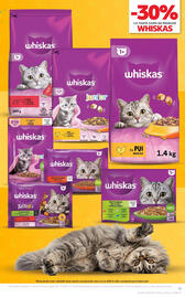 Catalog Kaufland săptămâna 41 Pagină 11