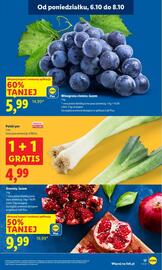 Lidl gazetka Strona 17