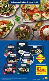 Lidl gazetka Strona 21